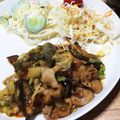ちがさきちゃー's cooksnap of when they made 豚肉となすのテンメンジャン炒め.