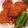 マカロニ公爵's cooksnap of when they made 本物の絶品新潟名物タレカツ丼.