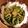 エル♀'s cooksnap of when they made これなら食べれる♪ゴーヤの甘味噌炒め.