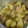 ゆきこ嬢's cooksnap of when they made 大根とイカの煮物.