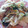 Tentsuma's cooksnap of when they made ✩厚揚げの野菜炒め✩.