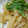 HappyKoron's cooksnap of when they made 大根のさっぱり炒め.