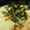 ブラックバス's cooksnap of when they made 長芋の明太和え♪.
