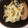 抹茶もつこ's cooksnap of when they made 切り干し大根の煮物.