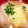 グランティラノス's cooksnap of when they made 我が家の定番中の定番☆味噌汁.