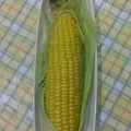 ラリー＆サラ's cooksnap of when they made 簡単♪レンジで5分 とうもろこし チン.