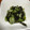 堕天使M's cooksnap of when they made 胡瓜とわかめの酢の物.