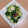 ニコとチャチャ's cooksnap of when they made たたき長芋ときゅうりの梅和え.