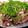 クックYUWGH7☆'s cooksnap of when they made さっぱり♪イカのレモンナンプラー炒め.