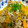 mush2010's cooksnap of when they made 熟ゴーヤーと豚肉の煮もの.