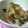 にゃぁくん's cooksnap of when they made チーズでコクうま！大根葉のオイマヨ炒め.