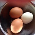 りゅるりゅる's cooksnap of when they made ティファールでゆで卵.