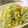 wamdawapw8's cooksnap of when they made ゴーヤのツナ和え、超簡単♡.