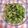 ひなちゃん2号's cooksnap of when they made 簡単！ゴーヤの食べラーツナ昆布和え.