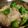 なごやっこ's cooksnap of when they made 豚モヤシ蒸し麺・・・ポン酢でさっぱり!!.