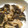 みかんsan35's cooksnap of when they made ナスの皮のきんぴら.