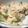ｃｈｉｒｉｒｉｎ's cooksnap of when they made 苦くない！ゴーヤとツナのサラダ.