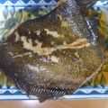 はーとねこ's cooksnap of when they made フライパンで簡単★カレイの煮付け.