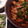 料理勉強中♡ちゃい's cooksnap of when they made 夏野菜のオイスターソース炒め.