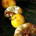 shimi49's cooksnap of when they made ★鶏モツの串焼き♪五香粉風味★.