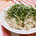 赤い電話's cooksnap of when they made しょうが焼きのサラダご飯。.