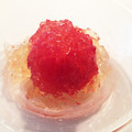 rintarosan's cooksnap of when they made 白だしで簡単！柔らかジュレの冷製トマト.
