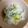 さおにゃんこ✨'s cooksnap of when they made 栗ご飯.