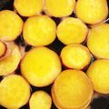 とまと大王's cooksnap of when they made さつまいも＊はちみつレモン煮.