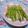 赤い電話's cooksnap of when they made とってもシンプル✿アスパラの塩炒め.
