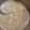 ズボラぷりん🍮's cooksnap of when they made ♫きのことベーコン旨みたっぷり豆乳スープ.