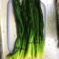 emi8emi28's cooksnap of when they made アイヌネギ（行者にんにく）の下処理・保存.