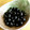 チョイコ's cooksnap of when they made 炒り黒豆のしょうゆ漬け.