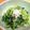 compay's cooksnap of when they made 小松菜としらすのごま油風味和え.