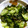 あーちゃん0220's cooksnap of when they made きゅうりとワカメの酢の物ごま和え.