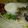 3mamakuma's cooksnap of when they made しめ鯖＆塩麹わさびヨーグルト.