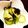 弘愛。's cooksnap of when they made ポン酢でさっぱり！きゅうりの漬物☆.
