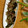 ayumimuya's cooksnap of when they made とろり冷製✿なすの煮びたし.