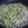 ナリンギン's cooksnap of when they made 三種炒め①　エリンギ・えのき・アスパラ.