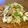 麻's cooksnap of when they made 豚肉ともやし炒めポン酢風味.