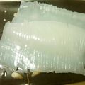 xはっちx's cooksnap of when they made ＊新鮮＊スルメイカの刺身＊.