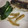 AYATORI's cooksnap of when they made はなびし草の鰯の蒲焼と骨せんべい.