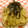 あ・み's cooksnap of when they made 新ごぼうのマリネ.