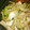 まりん＆かりん's cooksnap of when they made メカジキのシャキとろ炒め.