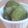 サリーアンドさや's cooksnap of when they made 簡単＊抹茶クッキー.