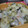 yume&ss's cooksnap of when they made 彩り野菜のマスタードマヨ オーブン焼き.