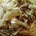 猫のねーちゃん's cooksnap of when they made パリパリにとろっ皿うどん.