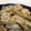 たくのスプーン's cooksnap of when they made 茹で鶏とごぼうの梅和え.