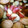 マリっち☆'s cooksnap of when they made さつまいもとさつま揚げの甘辛煮.