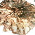 ちび☆りんご's cooksnap of when they made ♡かたまり肉で、もやし餃子♡.