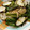 抹茶もつこ's cooksnap of when they made ピーマンと茄子のおかか和え（簡単副菜に）.